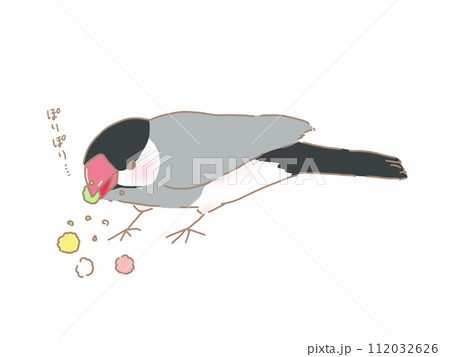 ひなあられを食べる桜文鳥 112032626