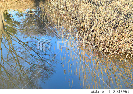 真冬の水辺　水面に映る青空　冬景色　　 112032967