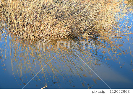 真冬の水辺 水面に映る青空 冬景色 真冬の水辺 水面に映る青空 冬景色 112032968