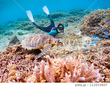 素晴らしいサンゴ礁と可愛いタイマイとダイバー(沖縄県島尻郡慶良間諸島座間味島阿真ビーチ) 素晴らしいサンゴ礁と可愛いタイマイとダイバー(沖縄県島尻郡慶良間諸島座間味島阿真ビーチ) 112033607