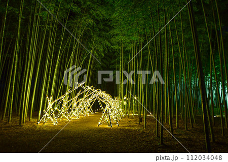 竹林の小径を西端付近から見たところにある竹林を撮る 112034048