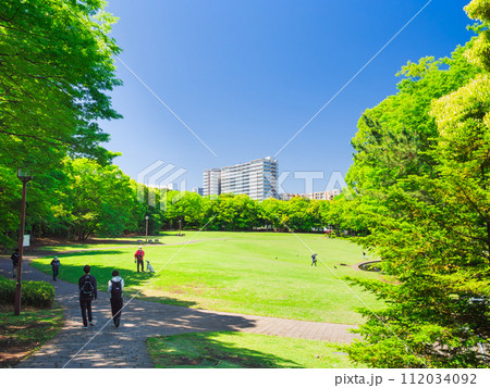 郊外の住宅地 新緑の公園 郊外の住宅地 新緑の公園 112034092