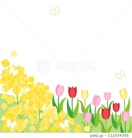 菜の花とチューリップの春の丘のカード アスペクト比1:1バージョン 菜の花とチューリップの春の丘のカード アスペクト比1:1バージョン 112034308