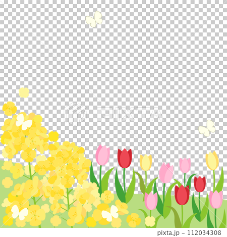 春山卡油菜花與鬱金香1:1縱橫比版本 112034308