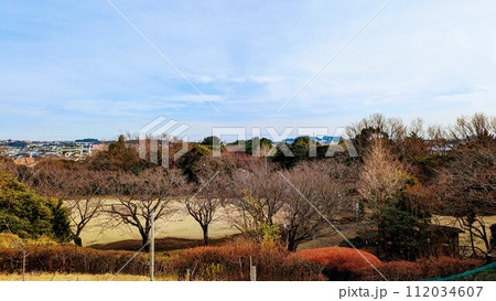 江ノ島を望む冬の景色 112034607