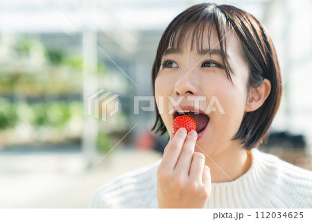 イチゴ狩りをする女性　いちご狩りをする女性 112034625