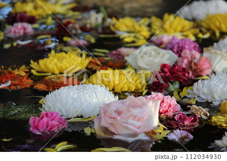 水に浮かぶ花　カラフル 112034930