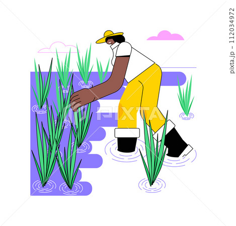 Rice growing isolated cartoon vector illustrations. Young farmer growing rice, agriculture harvest production, agribusiness industry, processing-manufacturing sector vector cartoon. 112034972