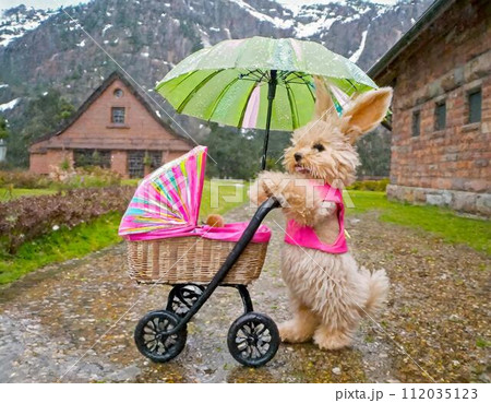 雨の中、傘を持ってベビーカーを押しているうさぎ 112035123