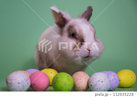 Easter Bunny on a green background with colorful painted eggs. Easter Bunny on a green background with colorful painted eggs. 112035228