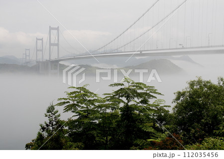海霧にけむる来島海峡大橋 海霧にけむる来島海峡大橋 112035456