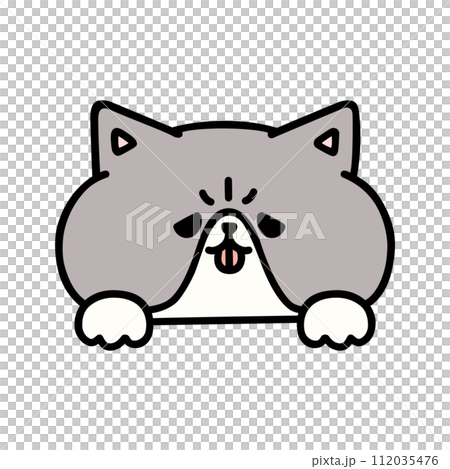 ひょっこり顔を出すかわいいエキゾチックショートヘア ひょっこり顔を出すかわいいエキゾチックショートヘア 112035476