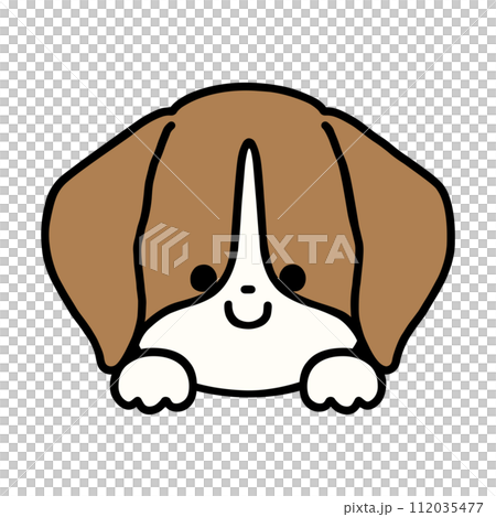 可愛的小獵犬露出它的臉 可愛的小獵犬露出它的臉 112035477