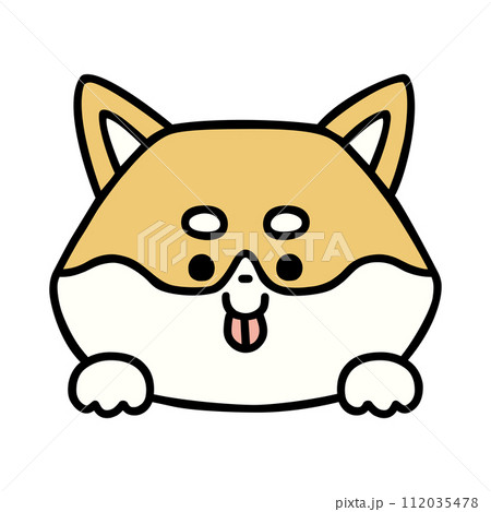 ひょっこり顔を出すかわいい柴犬 ひょっこり顔を出すかわいい柴犬 112035478