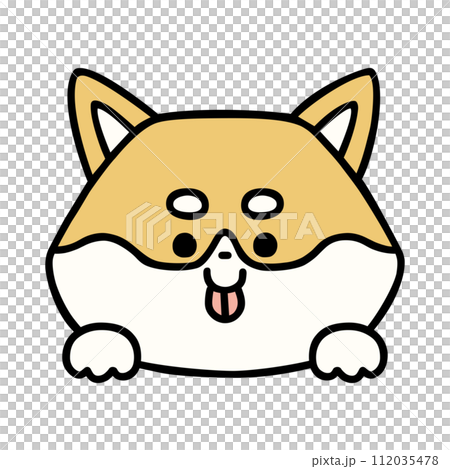 ひょっこり顔を出すかわいい柴犬 ひょっこり顔を出すかわいい柴犬 112035478