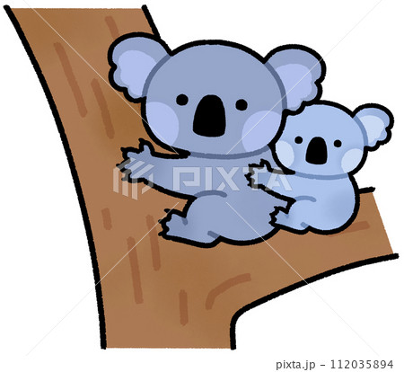 コアラの親子 112035894
