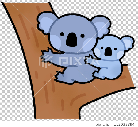 コアラの親子 112035894