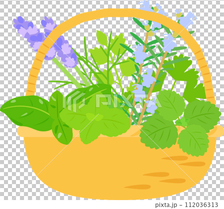 籃子裡的各種草藥 112036313