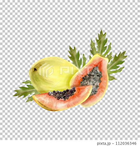 Watercolor hand drawn tropical papaya fruits composition. Hand drawn food illustration, exotic orange ripe wit leaves for cocktail, cafe, label, logo, packing design. 112036346