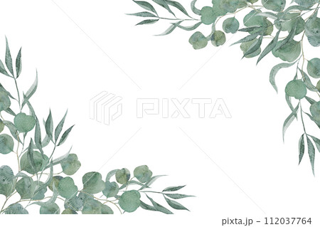 Watercolor hand painted green floral card with eucalyptus leaves and branches. 112037764