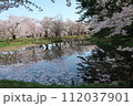弘前公園花筏その9 112037901