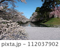 弘前公園花筏その8 112037902