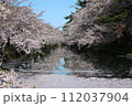 弘前公園花筏その6 112037904
