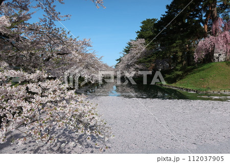弘前公園花筏その5 弘前公園花筏その5 112037905