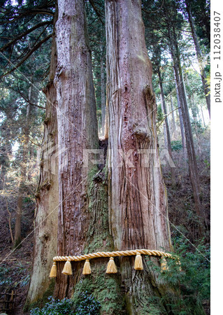 御岩神社 御岩山の三本杉 御岩神社 御岩山の三本杉 112038407