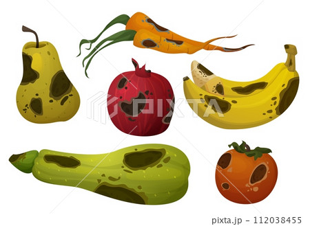 Rotten food with rot and mold. 112038455