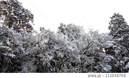 金沢の兼六園の雪景色 112038708