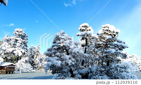 金沢の兼六園霞ヶ池と内橋亭の雪景色 金沢の兼六園霞ヶ池と内橋亭の雪景色 112039110