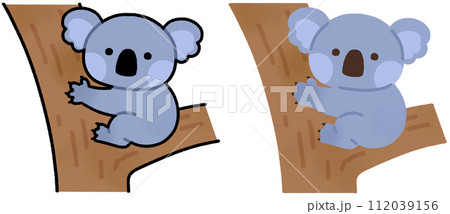コアラ 112039156