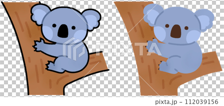 コアラ 112039156