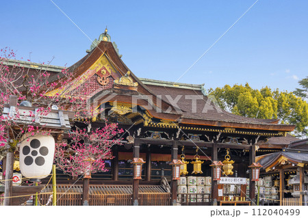 早春の京都 北野天満宮 飛梅と御本殿 早春の京都 北野天満宮 飛梅と御本殿 112040499