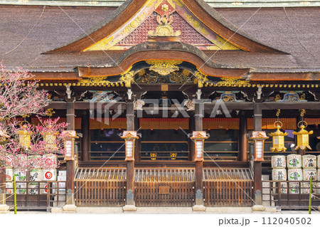 早春の京都　北野天満宮　飛梅と御本殿 112040502
