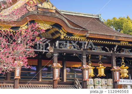 早春の京都　北野天満宮　飛梅と御本殿 112040503