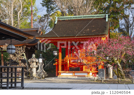 早春の京都　北野天満宮　紅梅と地主社 112040504