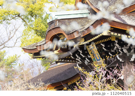 早春の京都　北野天満宮　梅と三光門 112040515