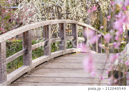 早春の京都 北野天満宮 梅苑「花の庭」 御手洗川に架かる太鼓橋 早春の京都 北野天満宮 梅苑「花の庭」 御手洗川に架かる太鼓橋 112040549