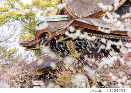 早春の京都　北野天満宮　梅と三光門 112040554