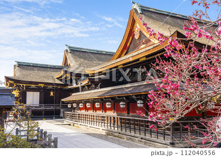 早春の京都　北野天満宮　紅梅と本殿・透塀 112040556
