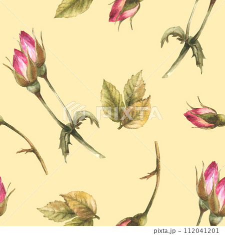 Watercolor wild rose hip buds leaves, dog cancer, brier rose flowers im bloom Botanical seamless pattern for label, wrapping paper, fabric, wallpaper Hand drawn illustration isolated beige background. 112041201