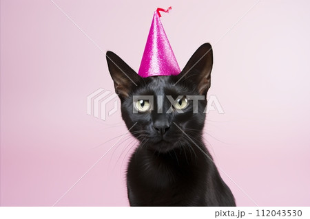 Happy Feline Wearing Party Hat for Fun Birthday Celebration with Copy Space and Colorful Background 112043530