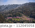 まつだ桜まつり 112045058