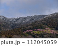 まつだ桜まつり 112045059