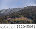 まつだ桜まつり 112045061