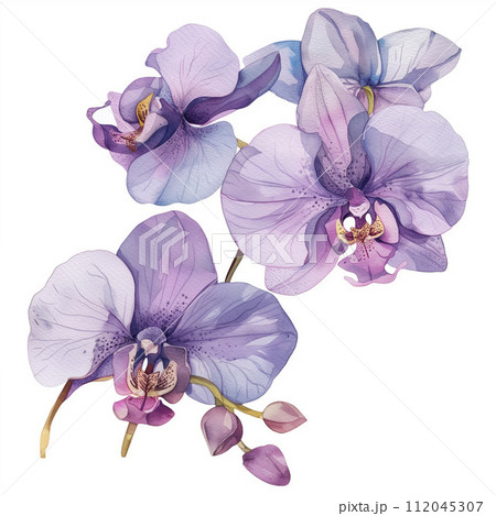 AI-generated content. Watercolor tropical orchid flower on white background. ai illustration. 112045307