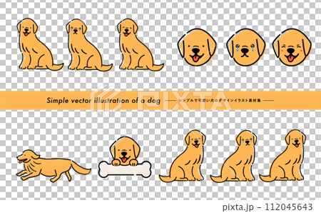 可愛的金毛犬/寵物插圖集，具有手寫的感覺，可以用作插圖或圖示。 112045643
