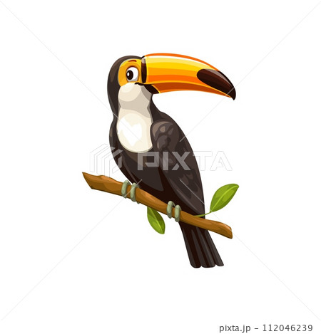 Toucan bird sitting on branch. Isolated vector tropical bird with vibrant plumage and distinctive, large, colorful bill. It inhabits central and south american forests, feeding on fruits and insects 112046239